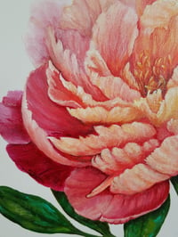 Image 4 of Coral Sunset Peony Original Art