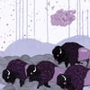*shels 'Plains Of The Purple Buffalo' - CD