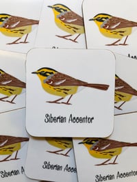 Image 2 of 4 Pack Siberian Accentor Coaster Set