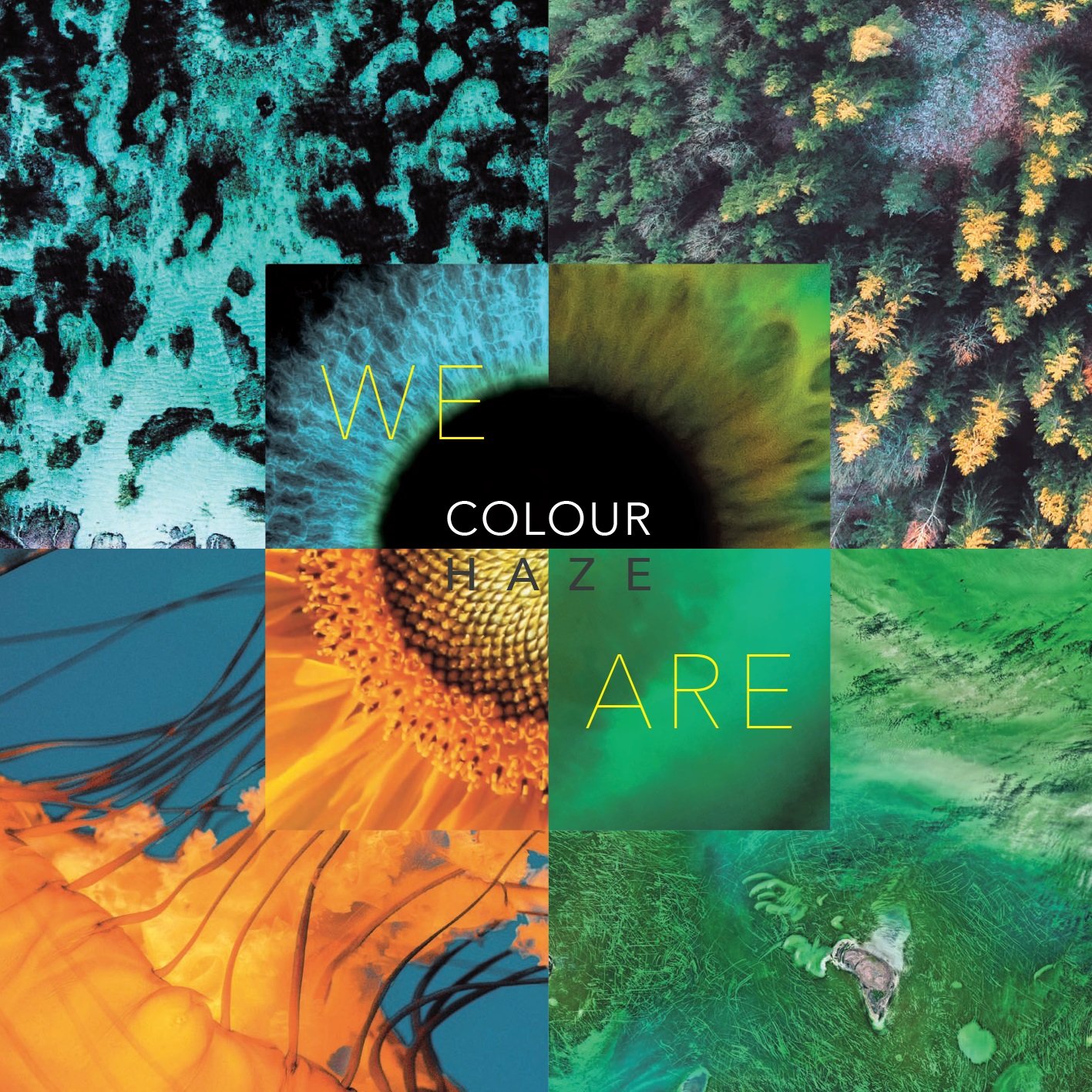 COLOUR HAZE - WE ARE Worldwide Edition Black Vinyl LP | Ripple Music