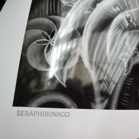 Image 3 of Seraphibonacci | limited edition print