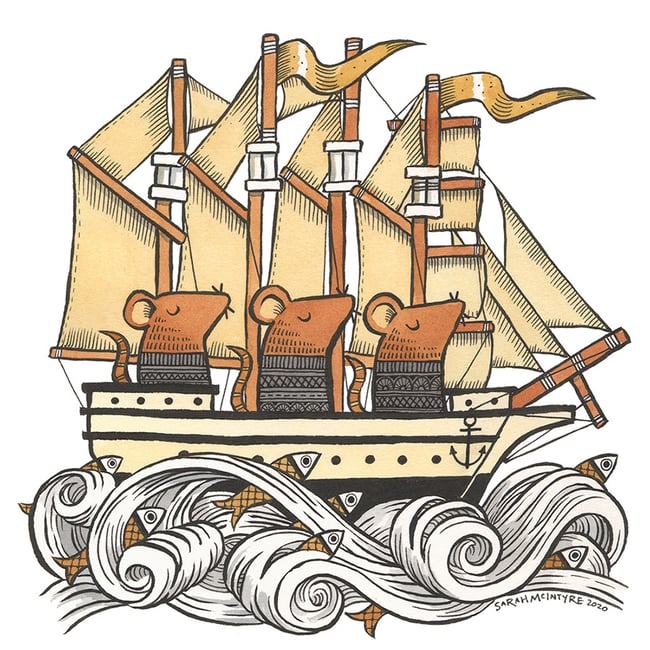 Mouse ship cards - variety pack of 5