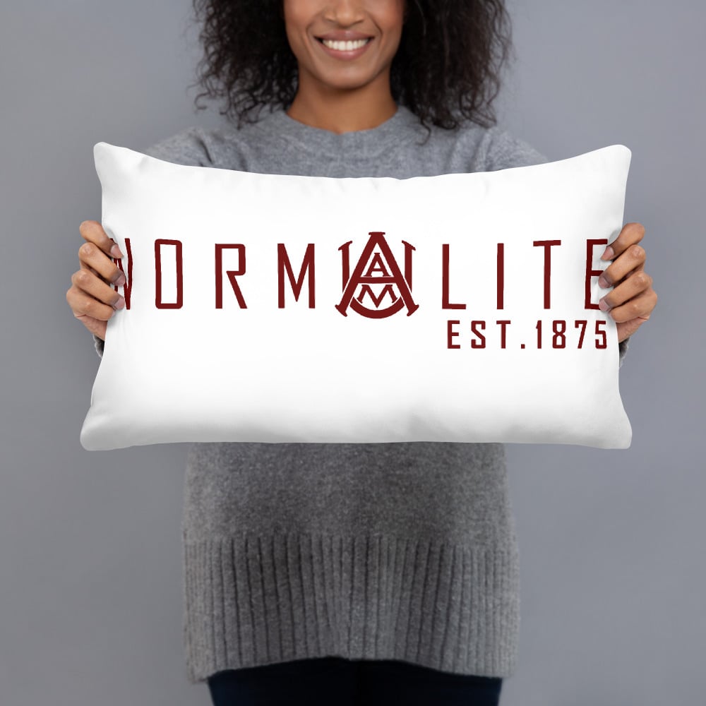 Image of AAMU NORMALITE Basic Pillow