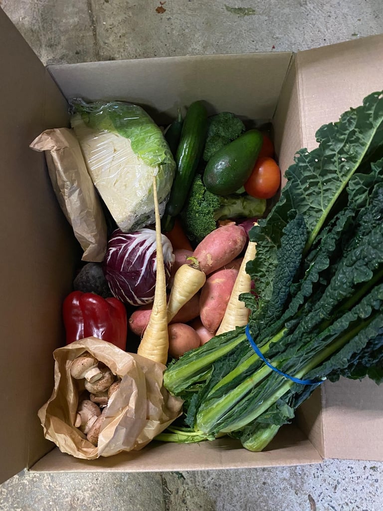 Vege Box - Seasonal and Organic