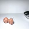 Anatomy Brain Earrings