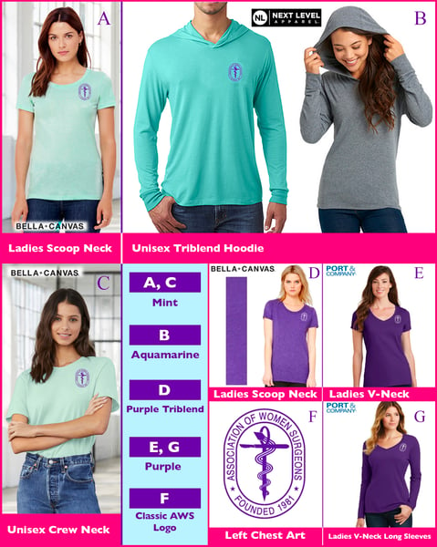 Image of Just Classic AWS Logo BellaCanvas/Port & Company AWS Tees and More ~ starting @
