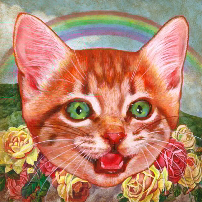 The Other Side of the Sky