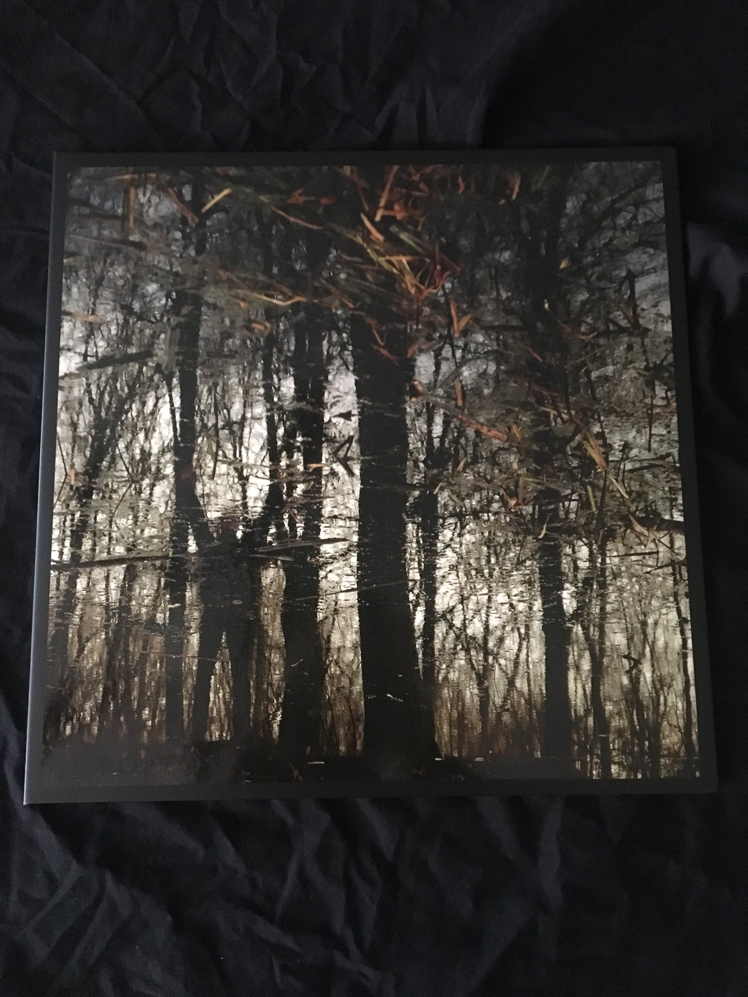 APOPTOSE - BANNWALD LP (Tesco)