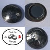 Bicentennial Quarter Magent