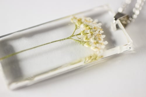 Image of Yarrow (Achillea millefolium) - Small Herbarium Pendant #1