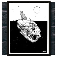 Image 1 of HOW LONG FOR SAHARA CHEETAH