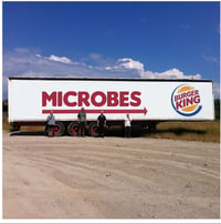 Microbes - Burger King