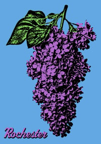 Image 2 of Rochester Lilac Sticker