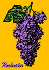 Rochester Lilac Sticker