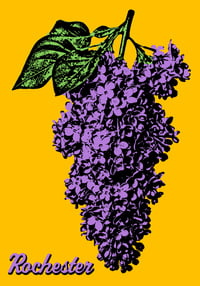 Image 1 of Rochester Lilac Sticker