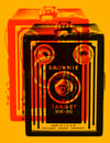 Kodak Brownie Sticker