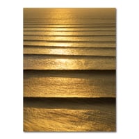 Image 1 of GOLDEN LINES