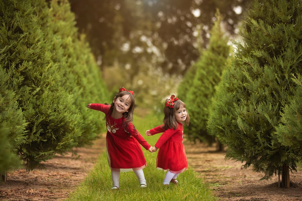 Image of Christmas Tree Farm - Mini Sessions