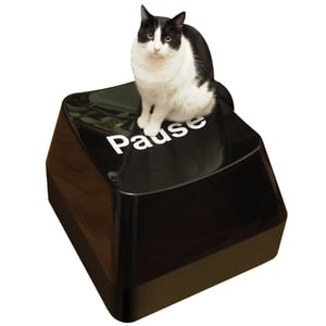 Image of Funkey Stool