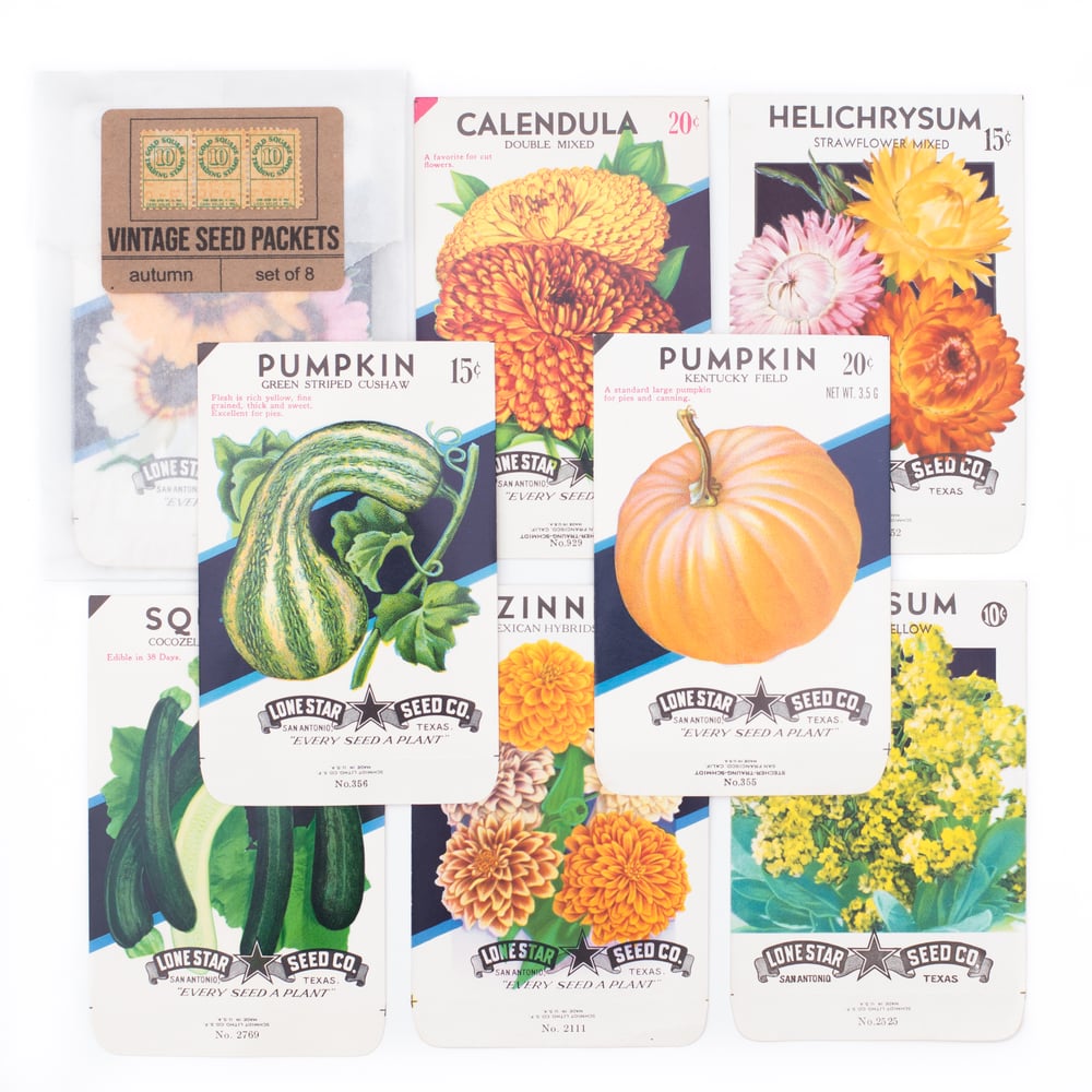 Image of Vintage Autumn Seed Packets - Set of 8