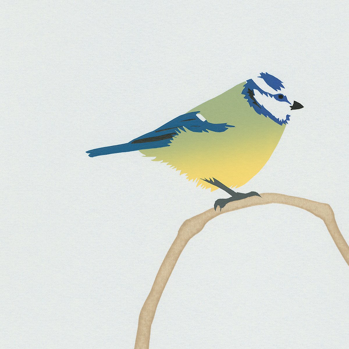 Image of Blue Tit Screen Print