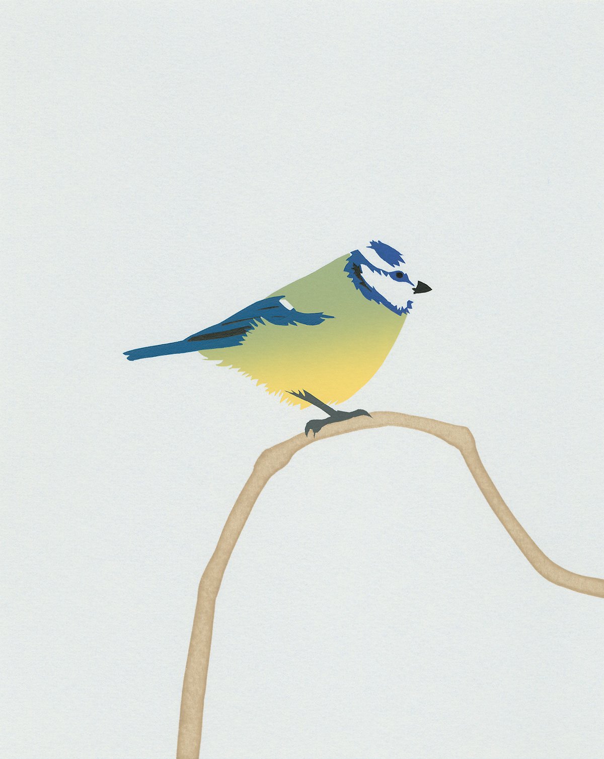 Image of Blue Tit Screen Print