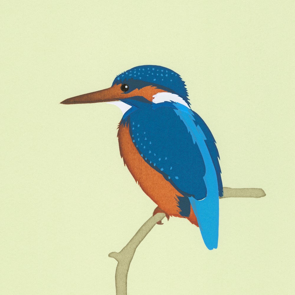 Image of Kingfisher Screen Print