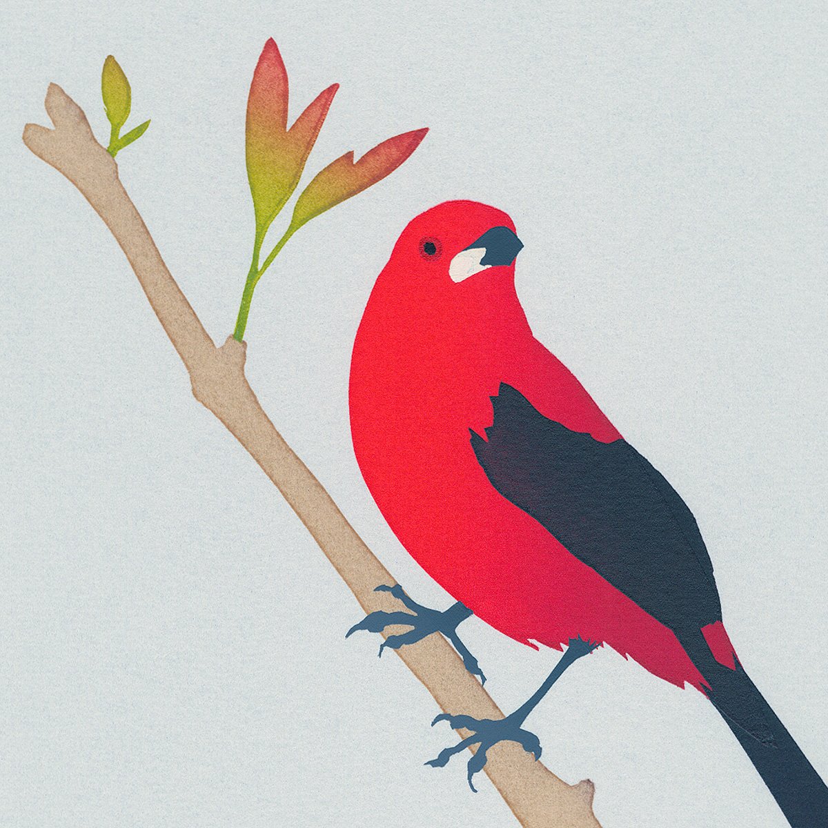 Image of Brazilian Tanager Screen Print