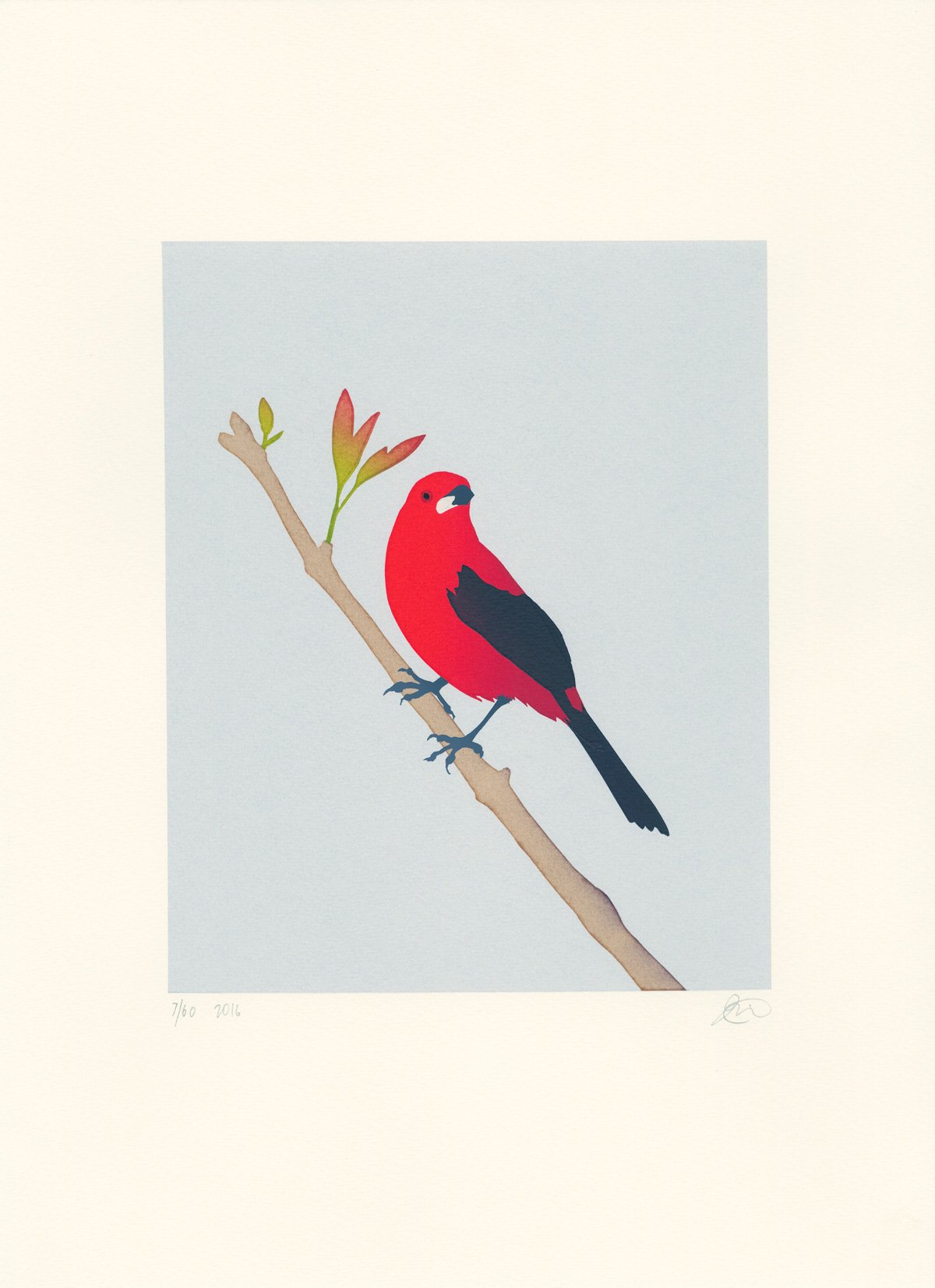 Image of Brazilian Tanager Screen Print