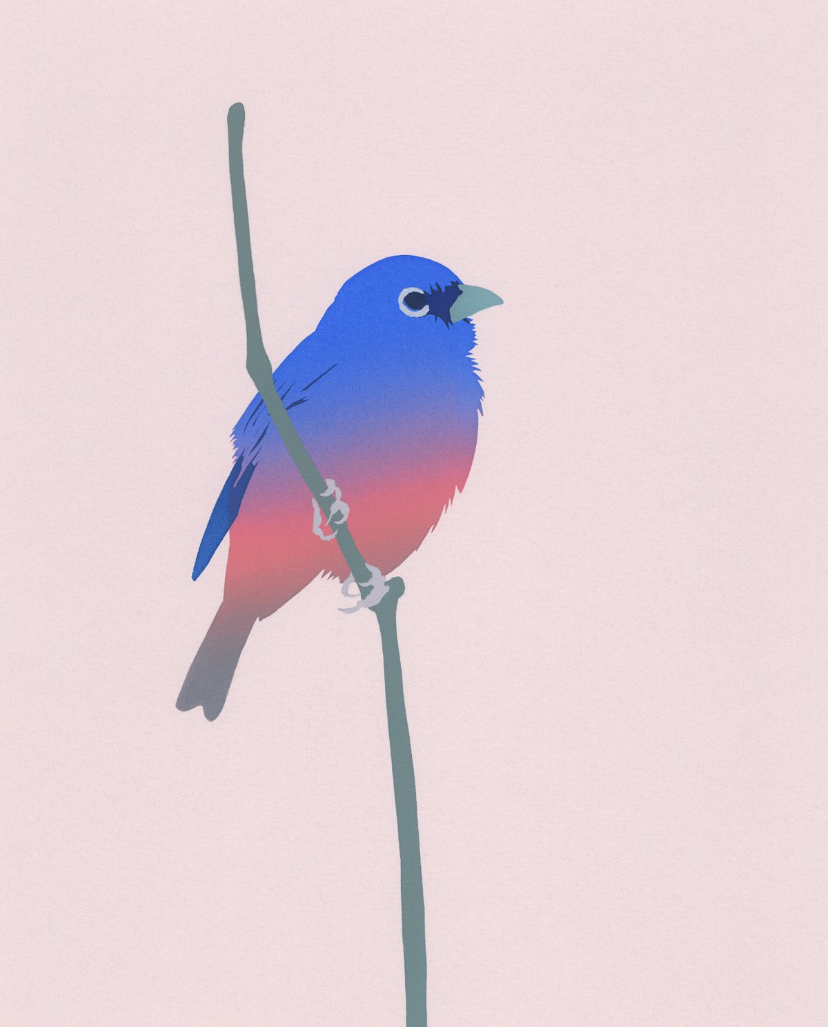 Image of Rose-bellied Bunting Screen print