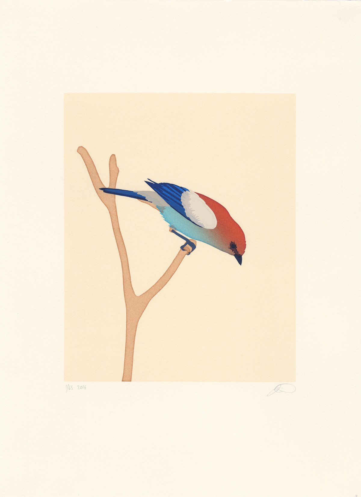 Image of Chestnut-Headed Tanager Screen Print