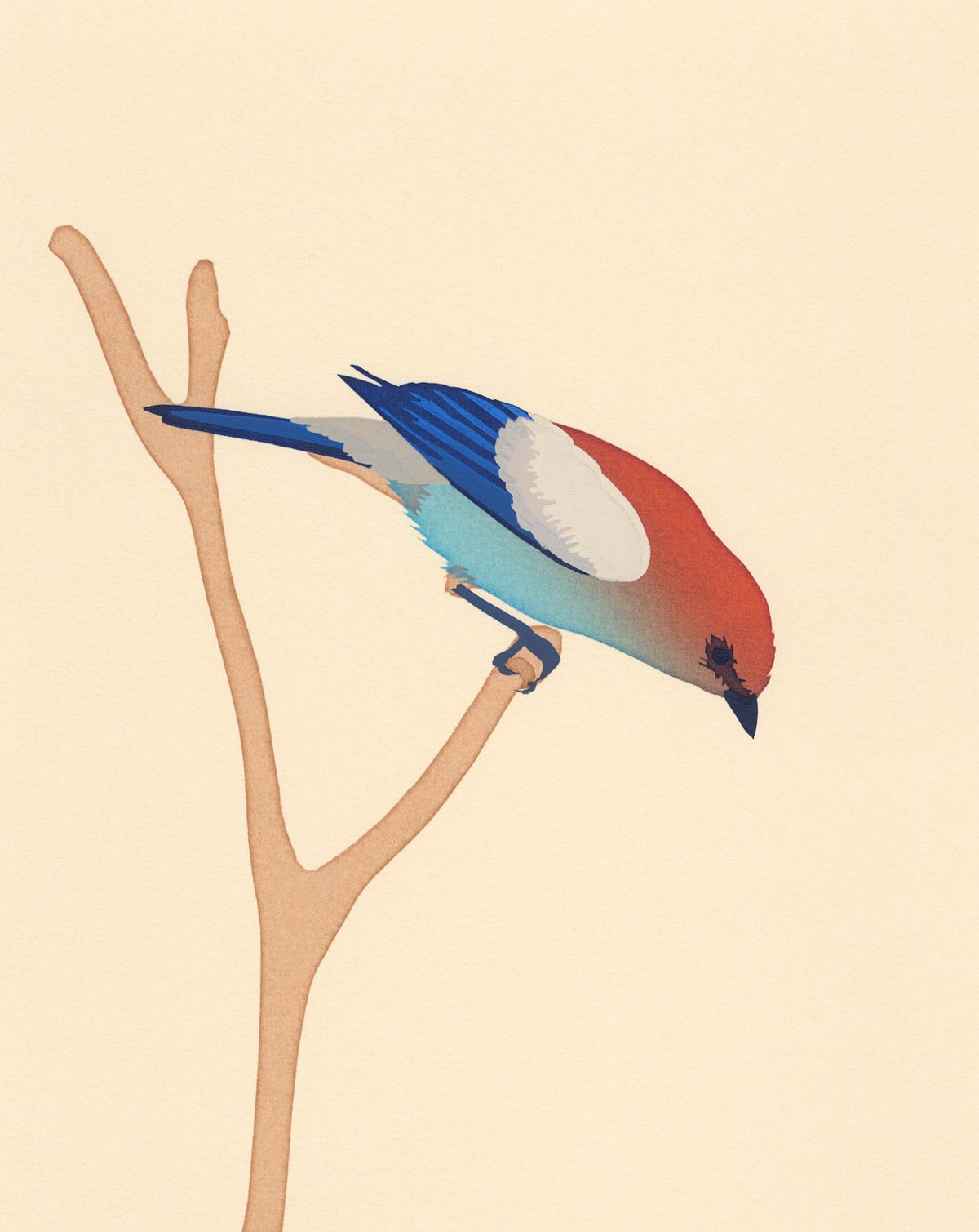Image of Chestnut-Headed Tanager Screen Print