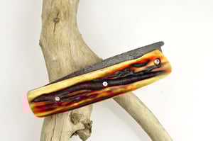 Image of Kork Amber Stag