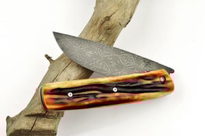 Image of Kork Amber Stag