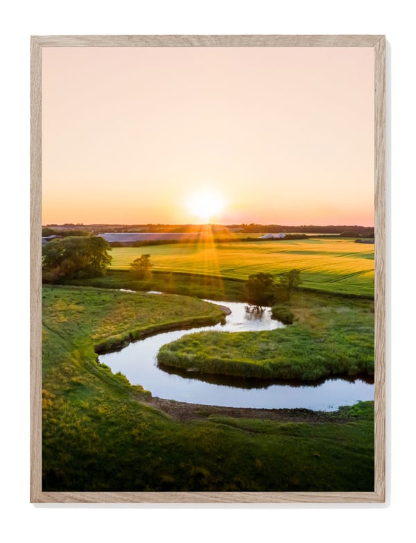 Image of Kongeåen Print