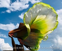 Image 3 of Warrior's Armor- Worship Flags