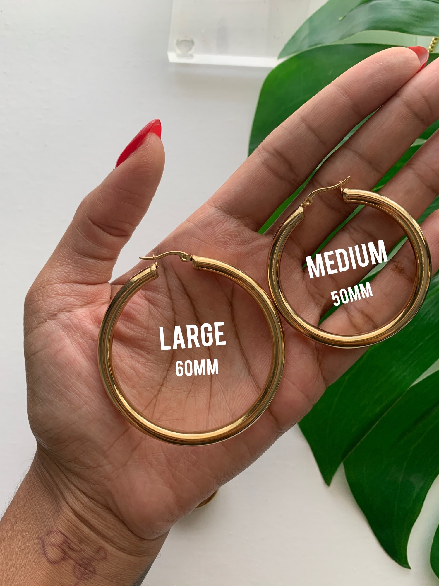 Image of BOOYAH • Hoop earrings