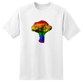Image of RAINBOW BROCCOLI T-SHIRT (White)