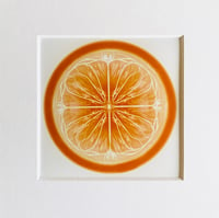 Orange Slice - Art Print