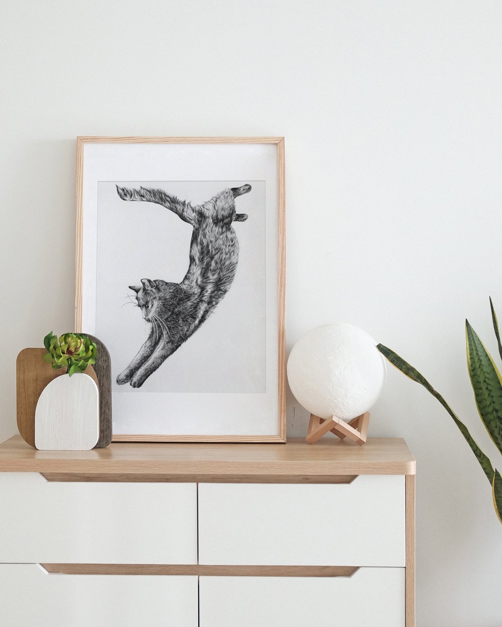 Jumping Cat