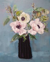 Hellebores