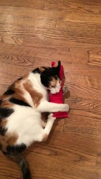 Image 2 of Bae The Hemp Body Pillow Cat Toy