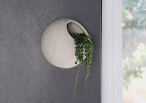 Image of Bird house/Bubble wall planter