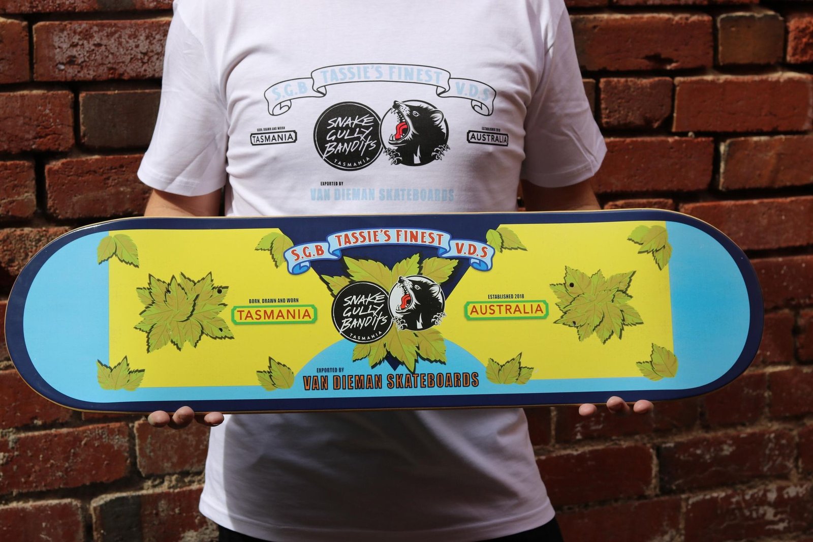 van diemen skateboards