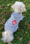 True North Dog Hoodie Grey