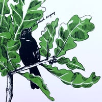 Image 3 of Tinctures - singing blackbird