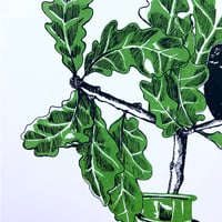 Image 5 of Tinctures - singing blackbird