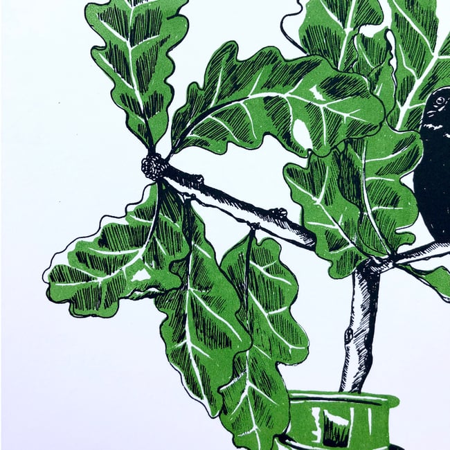 Tinctures - singing blackbird