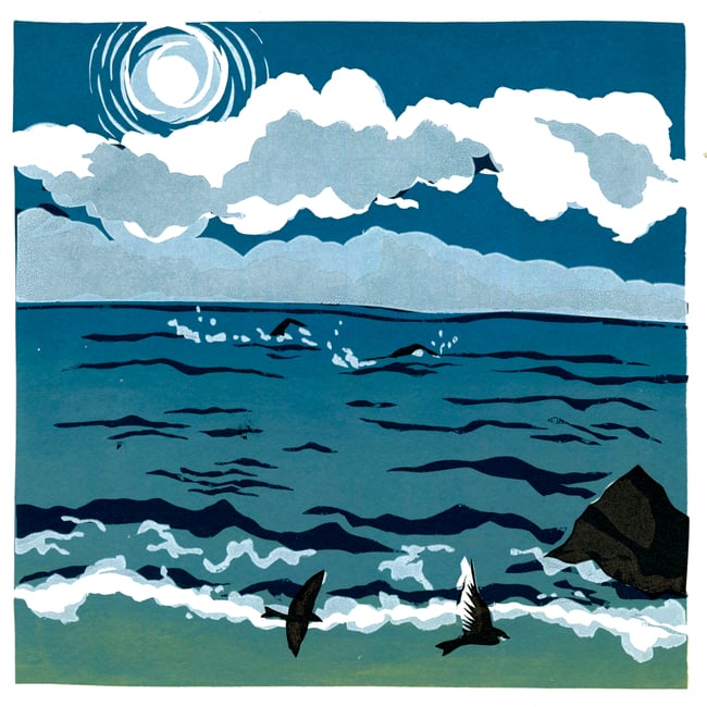 Wave Project - Swim with sand martins