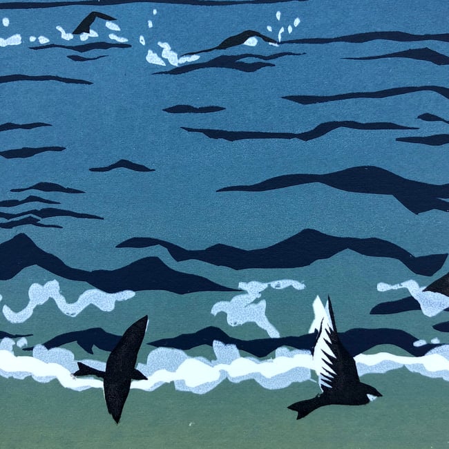 Wave Project - Swim with sand martins